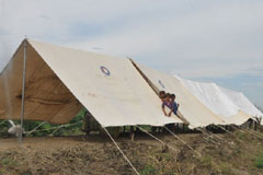 A camp for the internally-displaced following the flood in Sanghar, Sindh