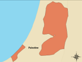 WHO Palestine WHO Palestine