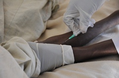 Yellow fever outbreak in Sudan