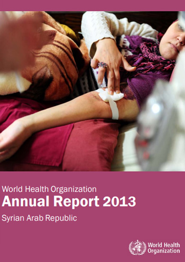 Annual report 2013