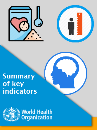 Summary of key indicators