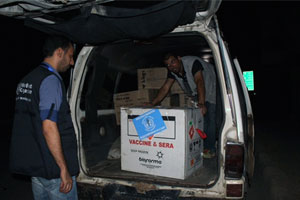 WHO shipment of polio vaccines to Syria