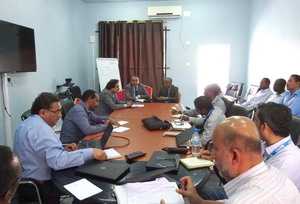 Participants at the UHC meeting in Somalia