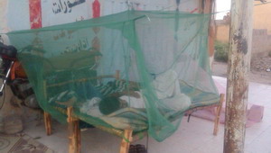 More than 21 million Yemenis lives in at-risk areas for malaria and nearly 7 million live in high-risk areas 