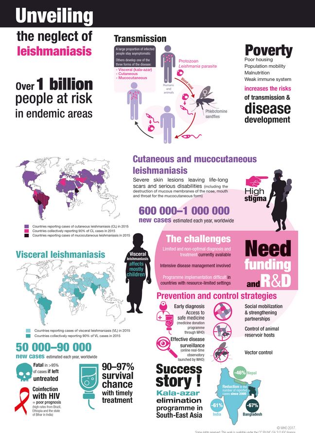 leishmaniasis-infographic